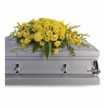 Yellow Casket Spray