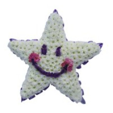 Twinkle Twinkle little Star (White)